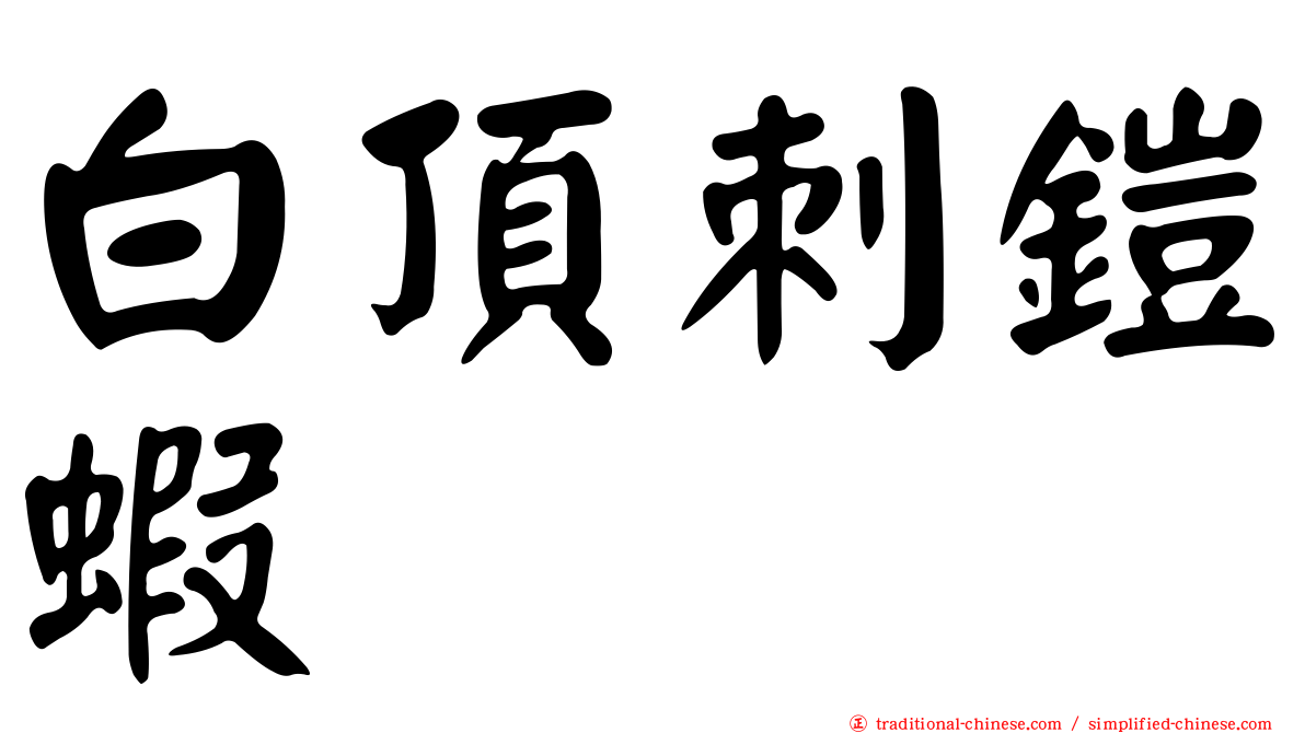 白頂刺鎧蝦