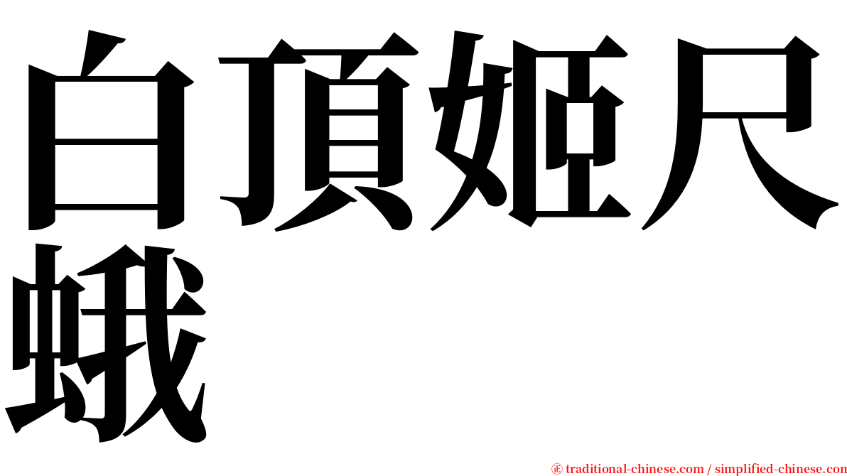 白頂姬尺蛾 serif font