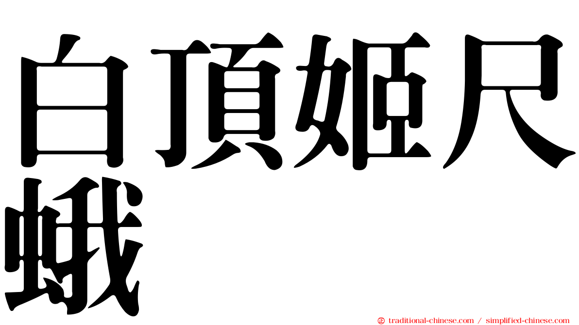 白頂姬尺蛾