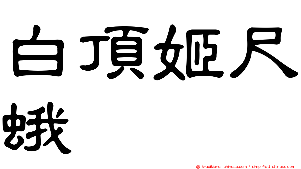 白頂姬尺蛾