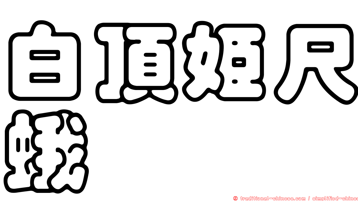 白頂姬尺蛾