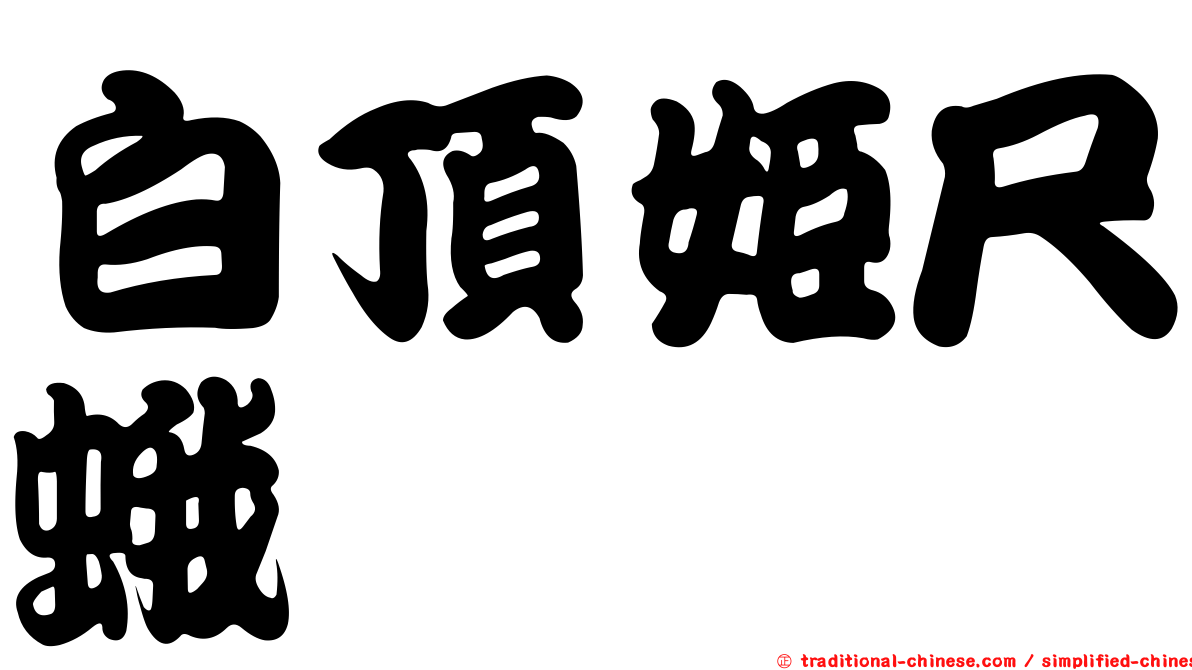 白頂姬尺蛾