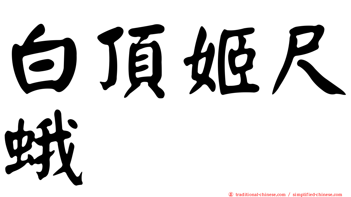 白頂姬尺蛾