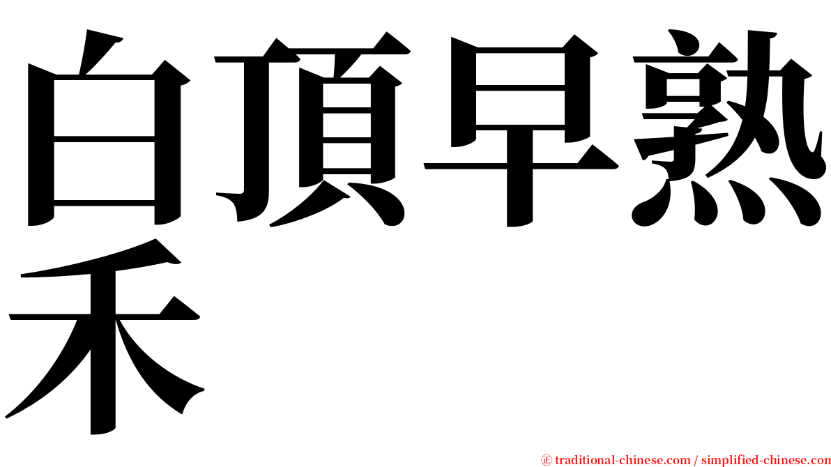 白頂早熟禾 serif font