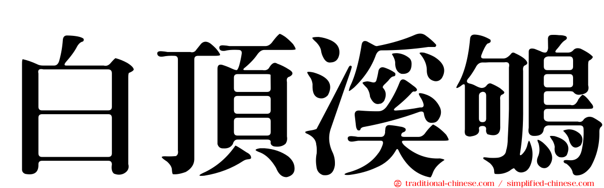 白頂溪鴝