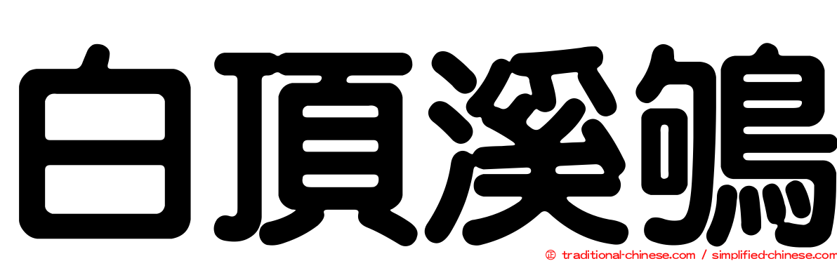 白頂溪鴝