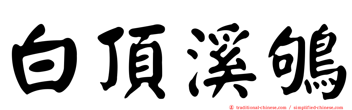 白頂溪鴝