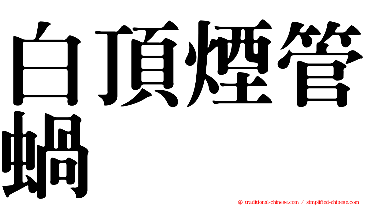 白頂煙管蝸