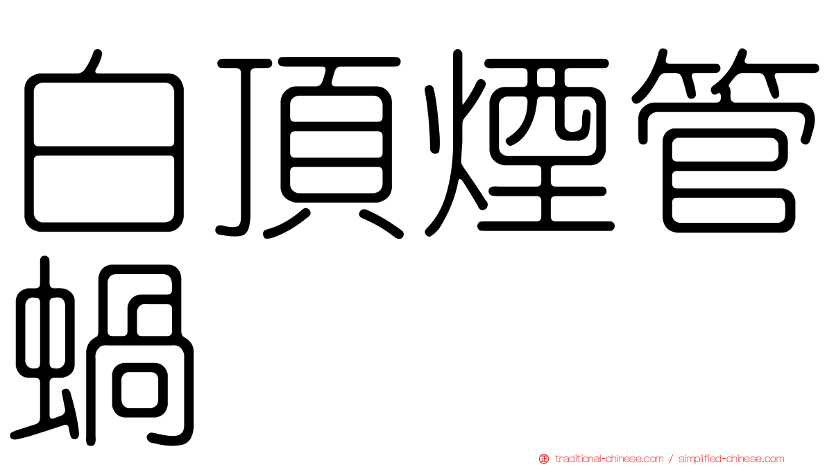 白頂煙管蝸