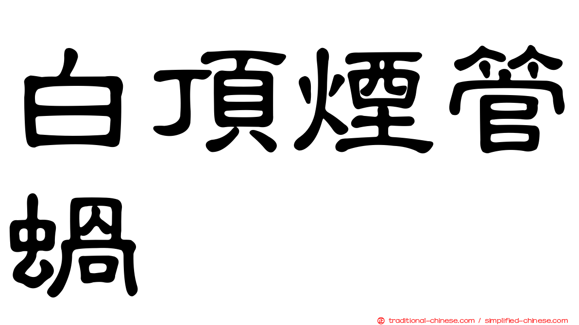 白頂煙管蝸