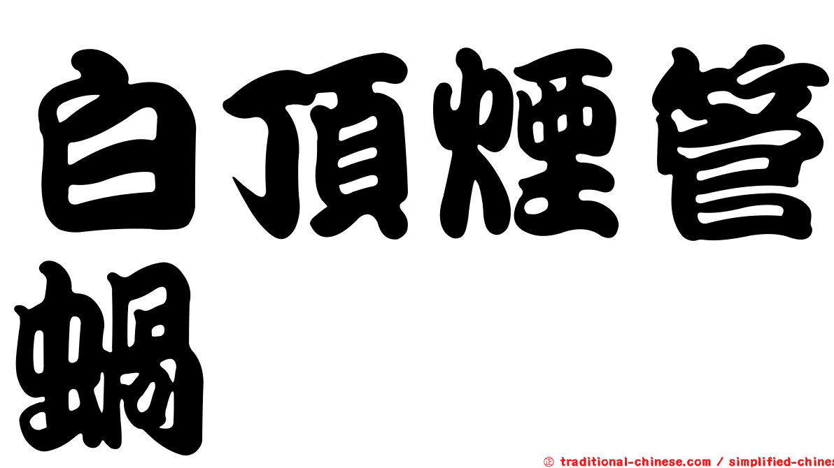 白頂煙管蝸