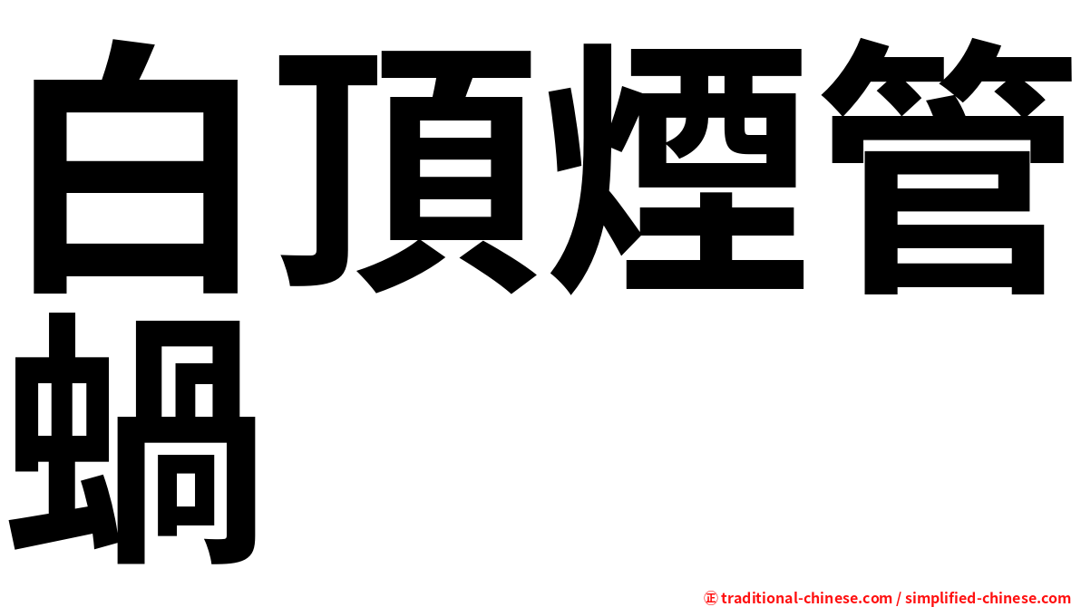 白頂煙管蝸