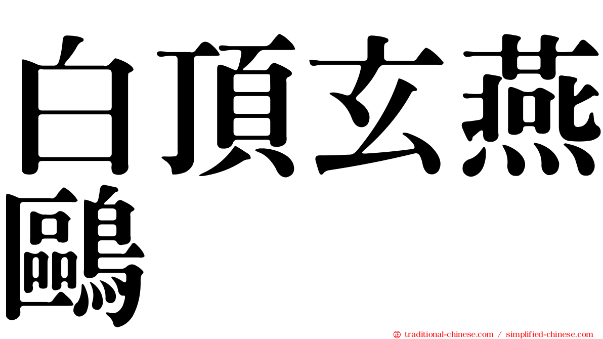 白頂玄燕鷗