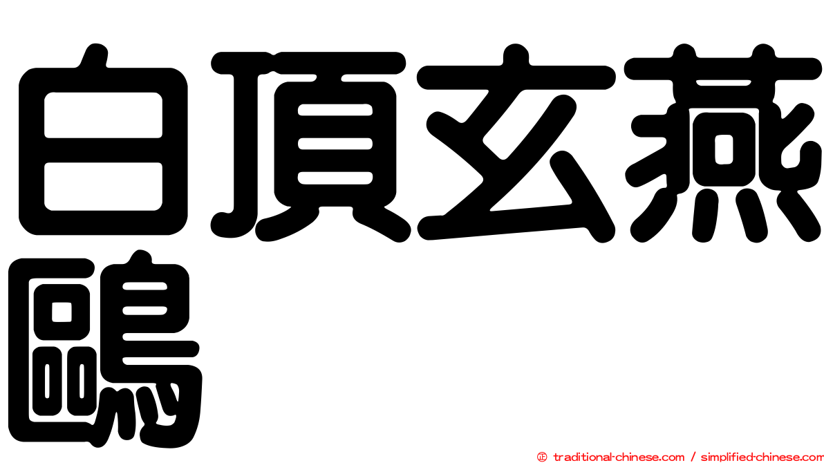 白頂玄燕鷗