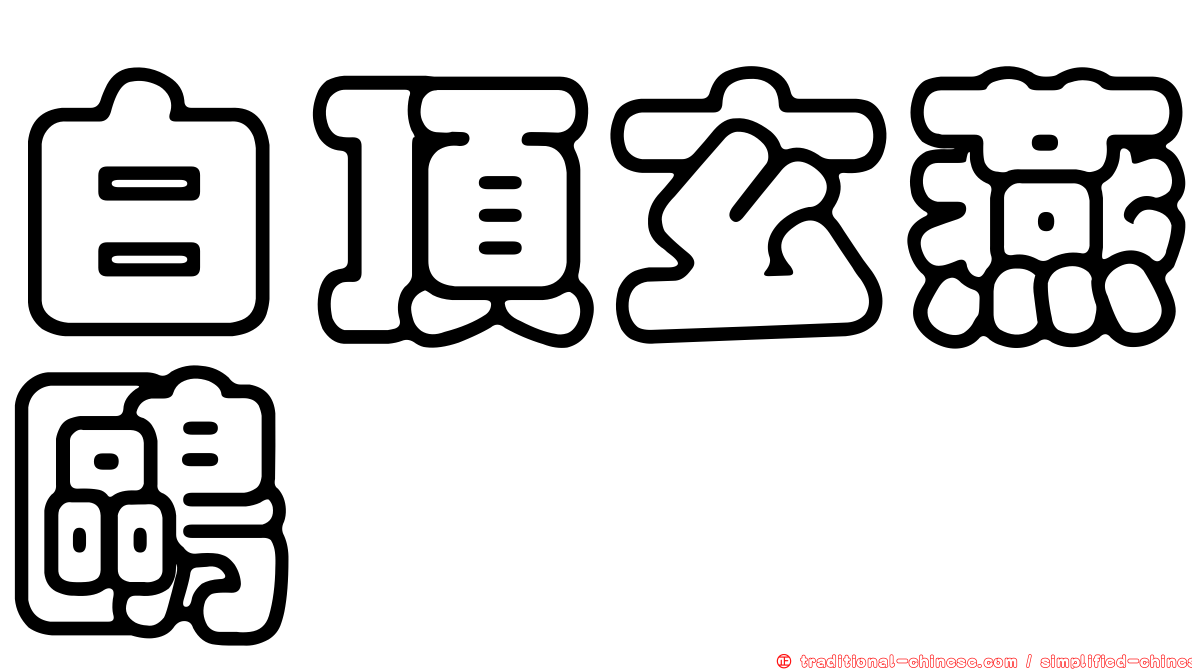 白頂玄燕鷗