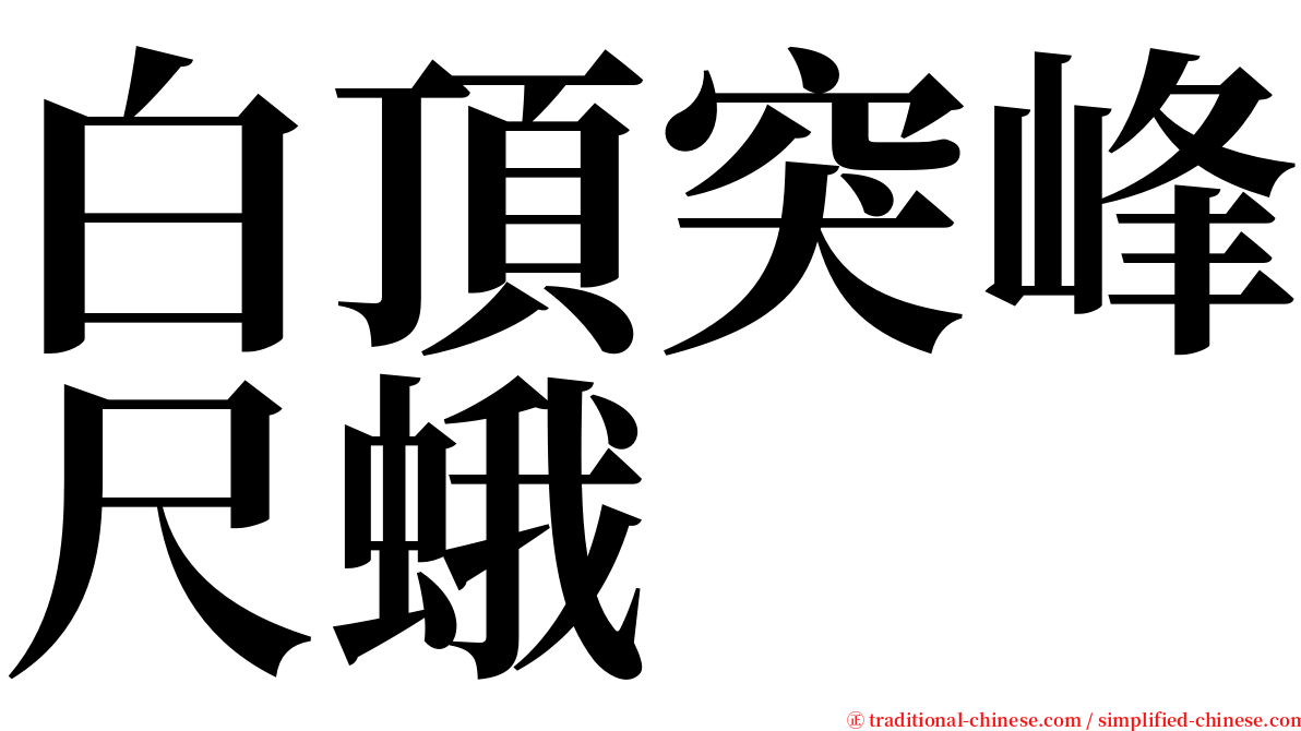 白頂突峰尺蛾 serif font