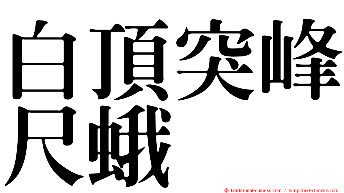 白頂突峰尺蛾