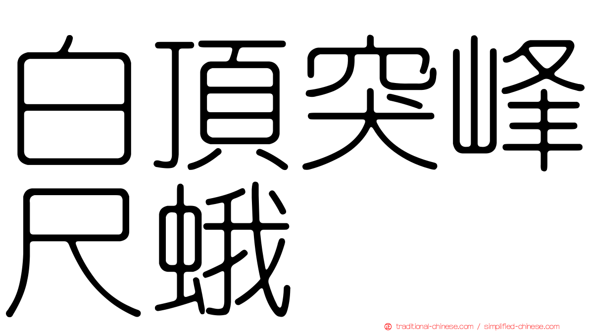 白頂突峰尺蛾