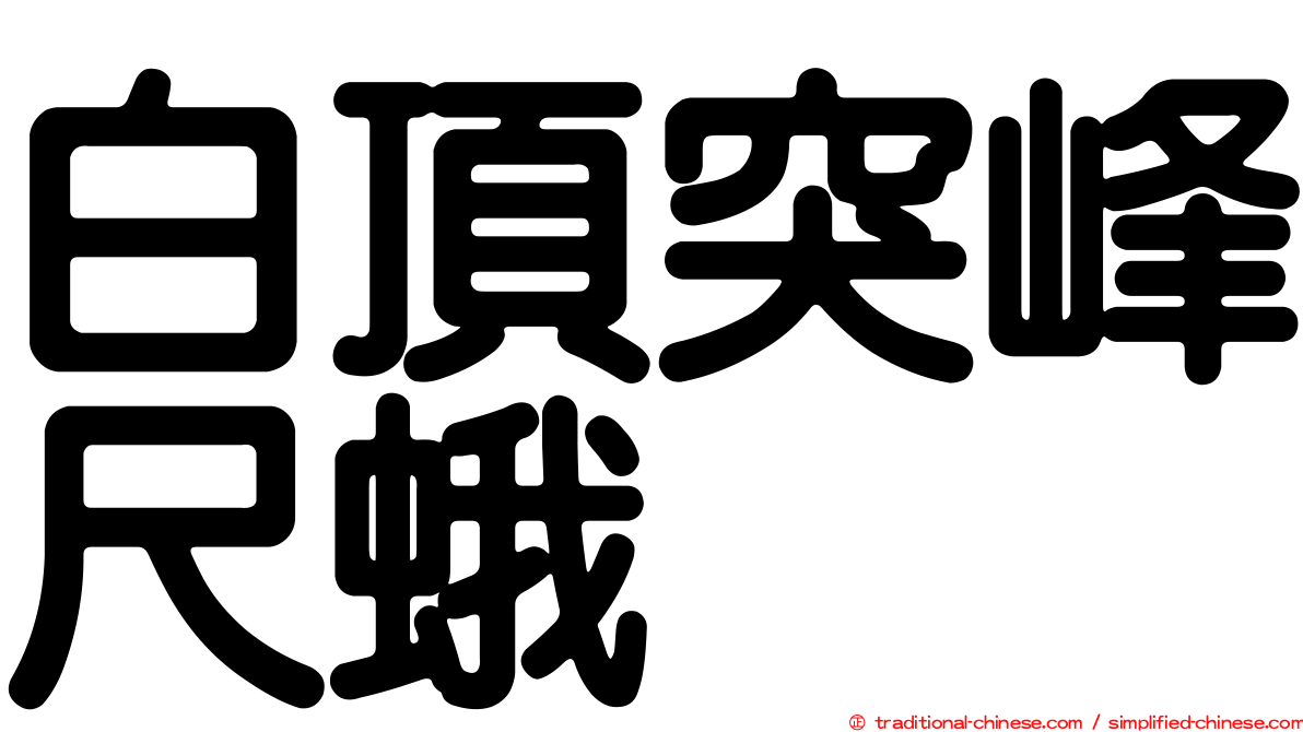 白頂突峰尺蛾