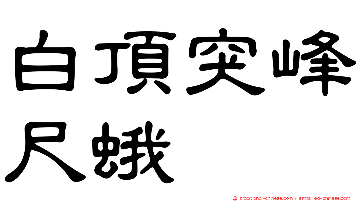 白頂突峰尺蛾
