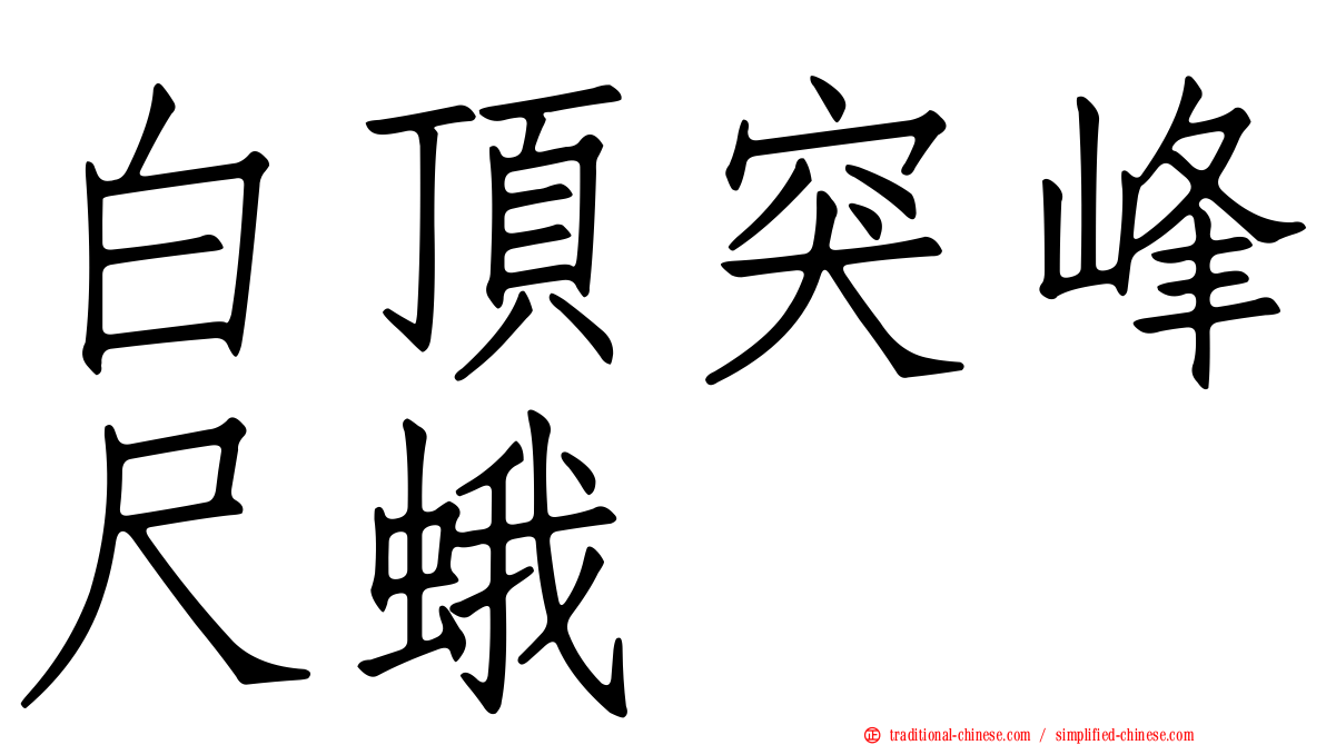 白頂突峰尺蛾