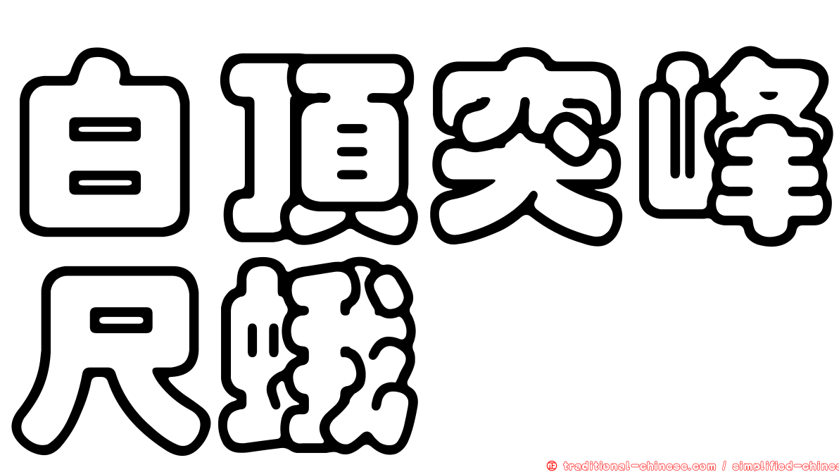 白頂突峰尺蛾