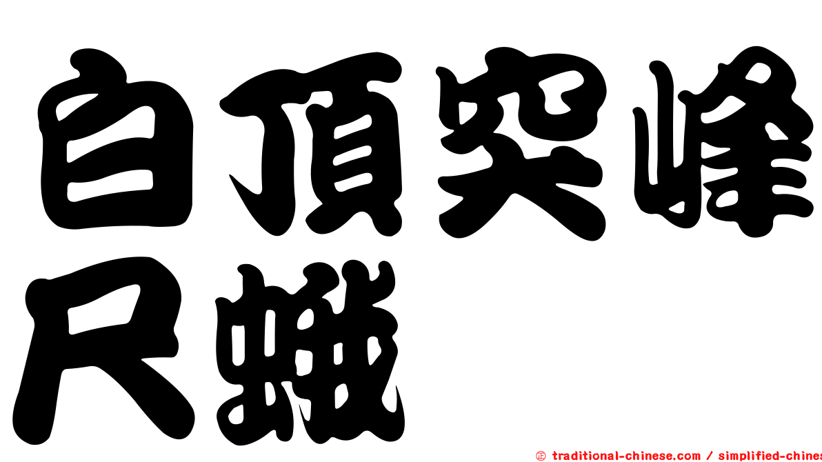 白頂突峰尺蛾