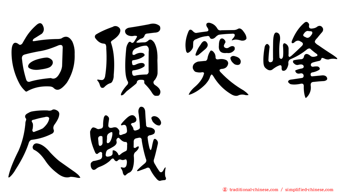 白頂突峰尺蛾