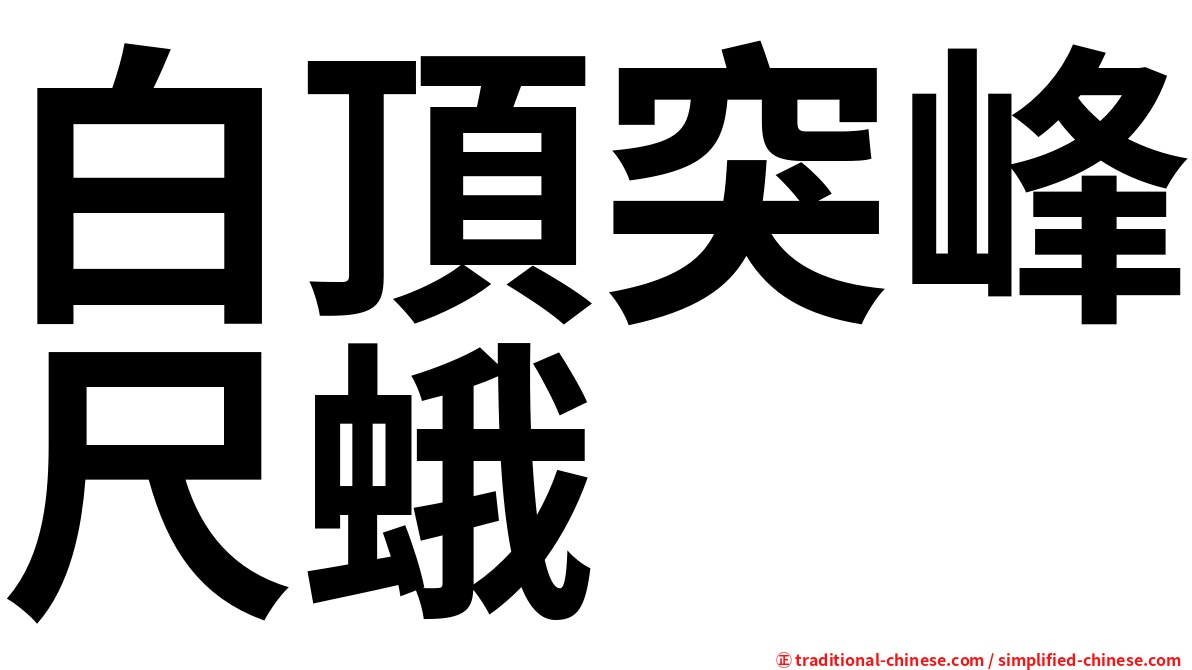 白頂突峰尺蛾