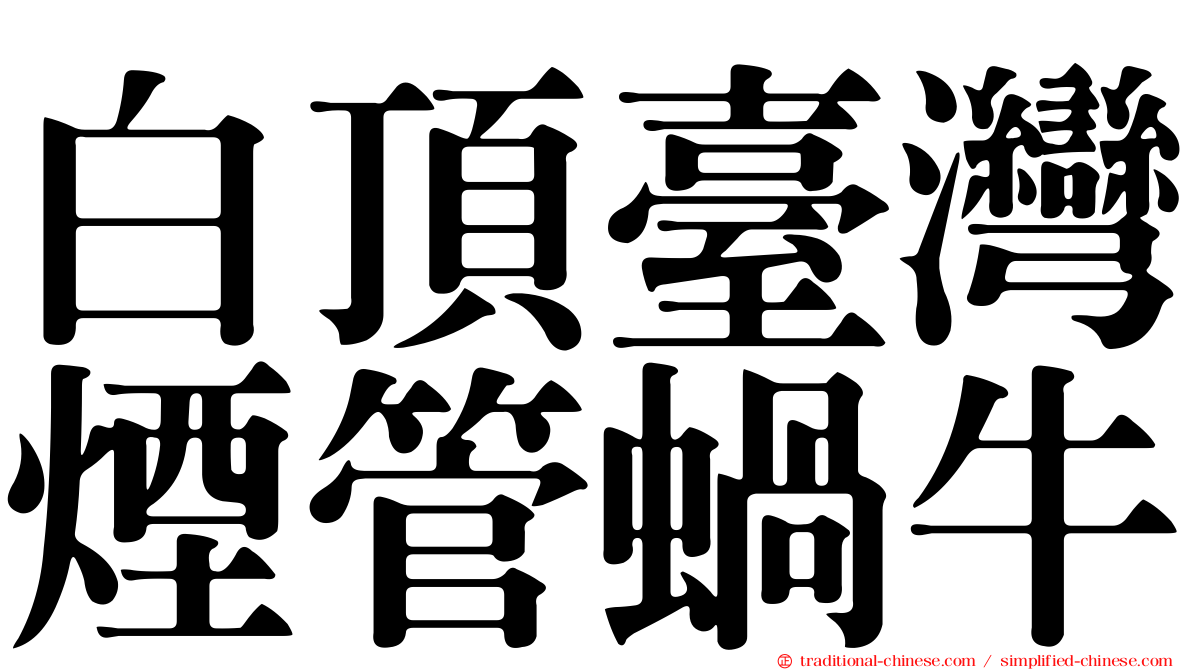 白頂臺灣煙管蝸牛