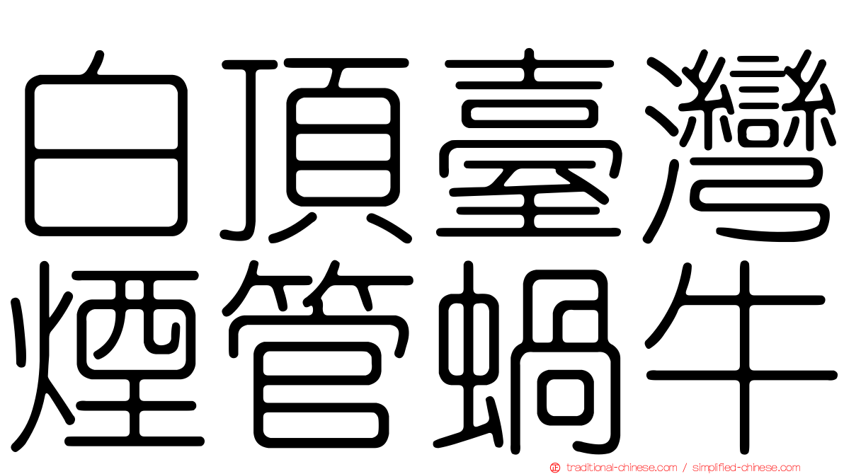 白頂臺灣煙管蝸牛