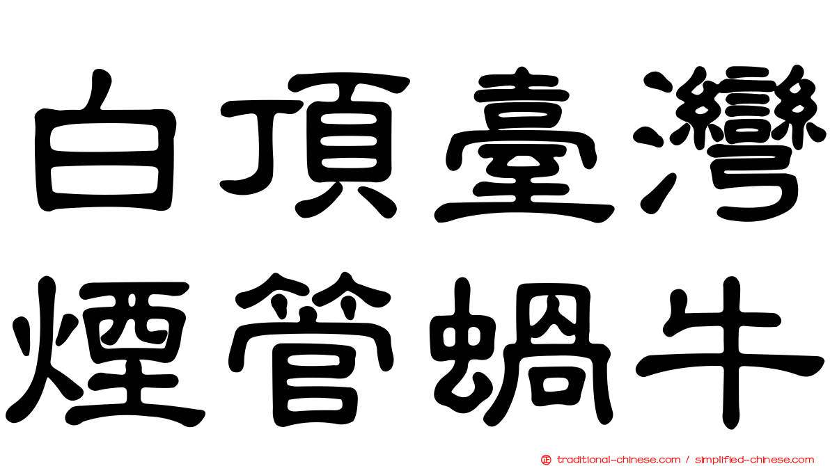 白頂臺灣煙管蝸牛