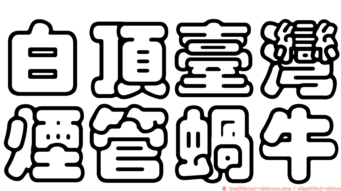 白頂臺灣煙管蝸牛