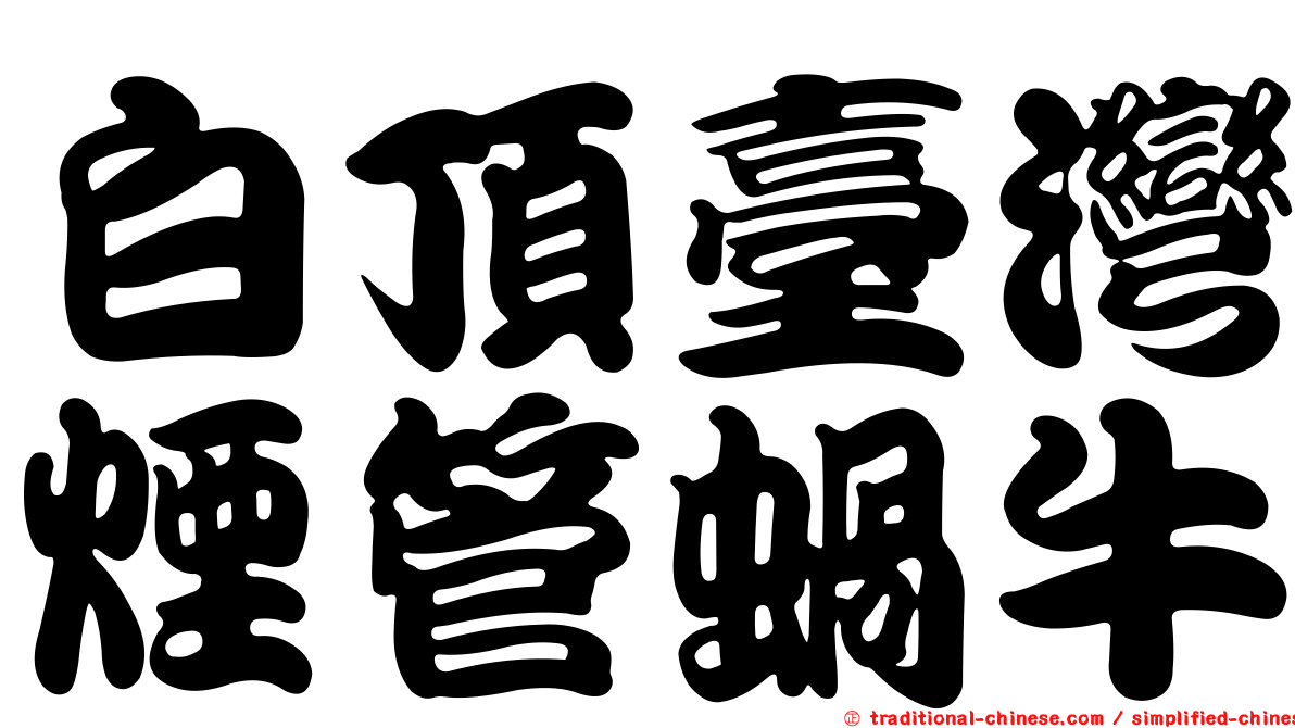 白頂臺灣煙管蝸牛