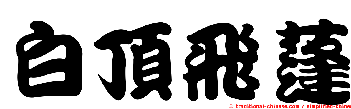 白頂飛蓬