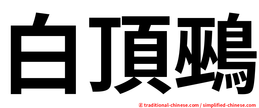 白頂鵐