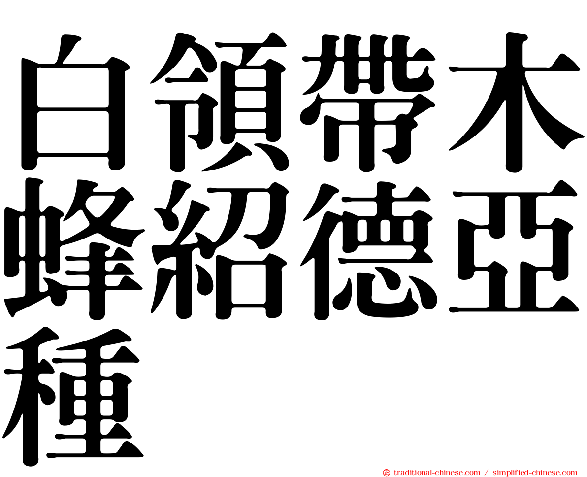 白領帶木蜂紹德亞種