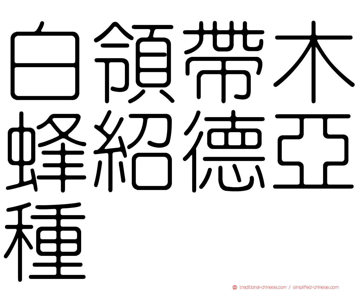 白領帶木蜂紹德亞種