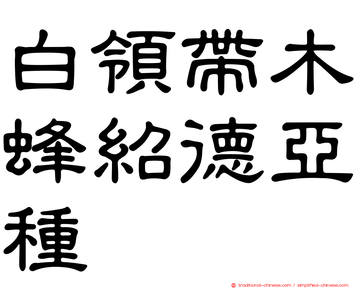 白領帶木蜂紹德亞種