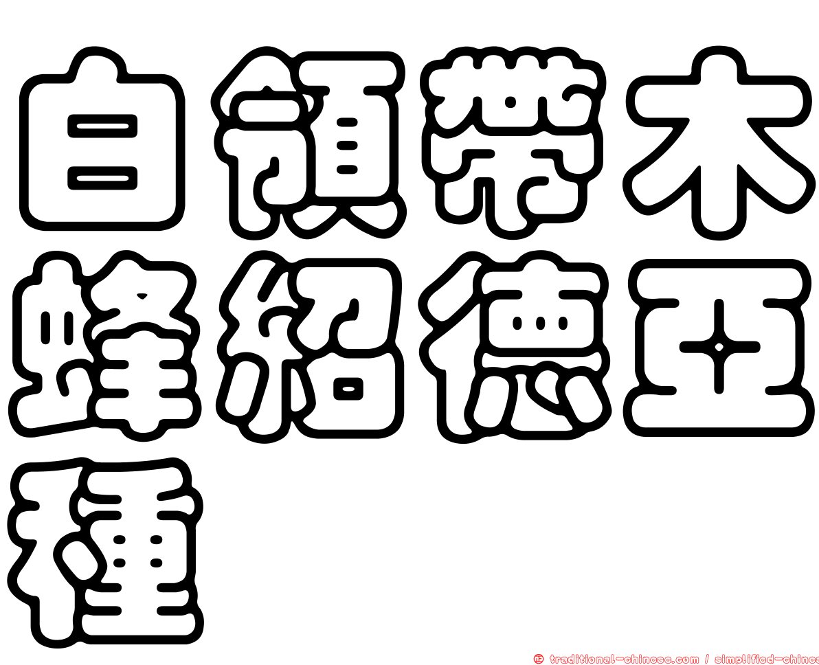 白領帶木蜂紹德亞種
