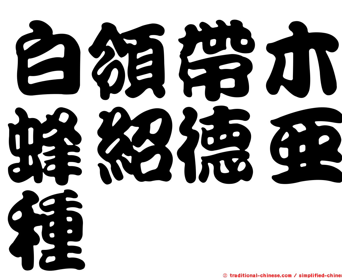 白領帶木蜂紹德亞種
