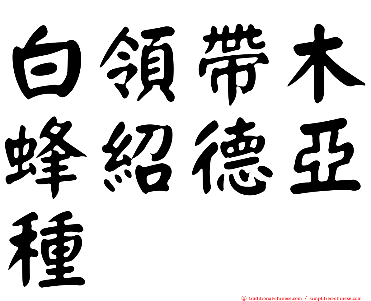 白領帶木蜂紹德亞種