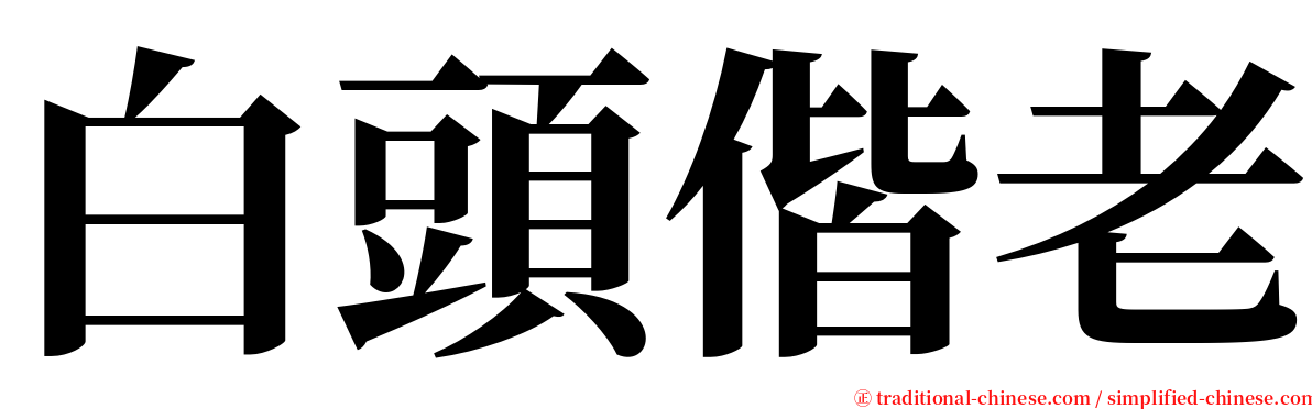 白頭偕老 serif font