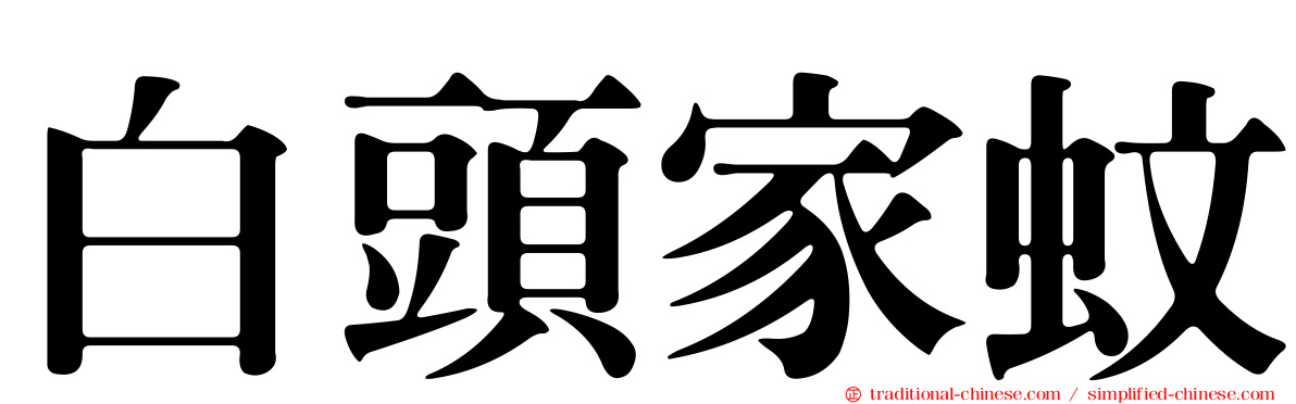 白頭家蚊