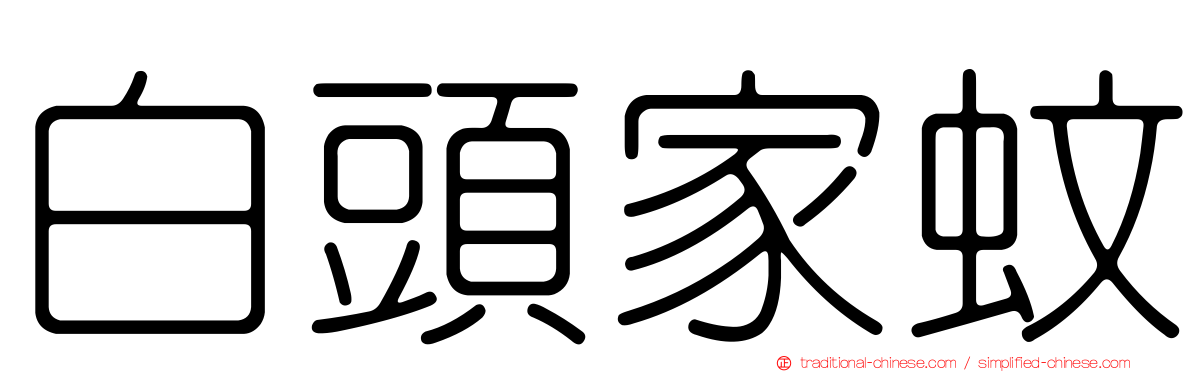 白頭家蚊