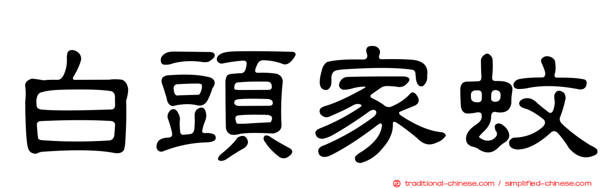 白頭家蚊