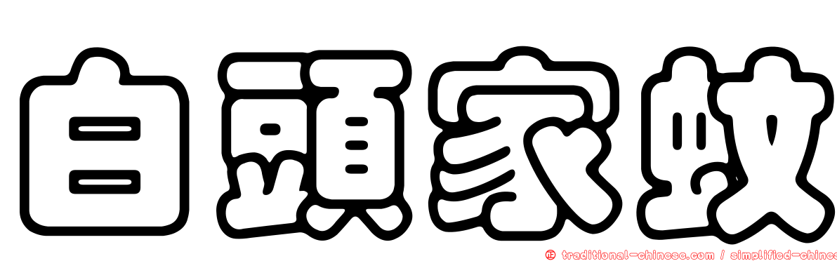白頭家蚊