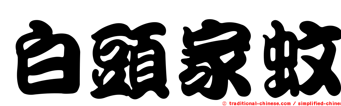 白頭家蚊