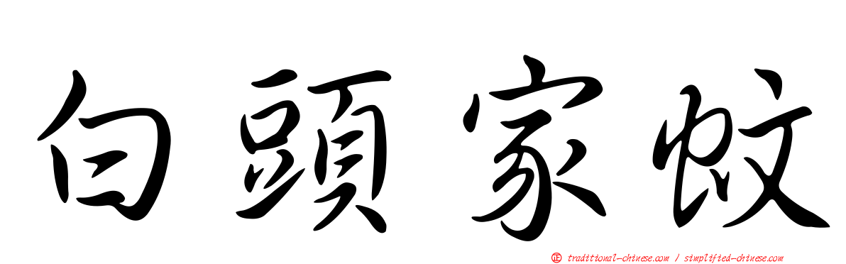 白頭家蚊