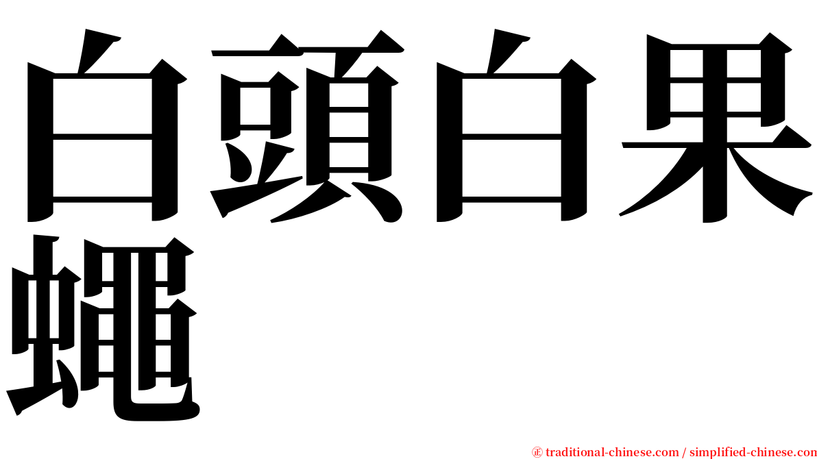 白頭白果蠅 serif font